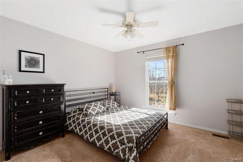 43 Lions Head Ct, O'fallon, MO 63368 photo 18