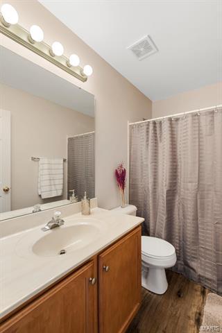 43 Lions Head Ct, O'fallon, MO 63368 photo 24