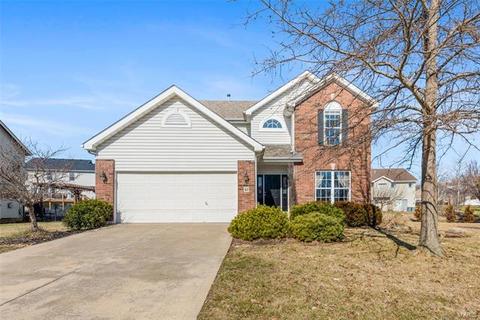 43 Lions Head Ct, O'fallon, MO 63368 photo 1