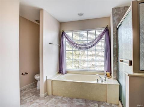 379 Arbor Gln, Ballwin, MO 63021 photo 34