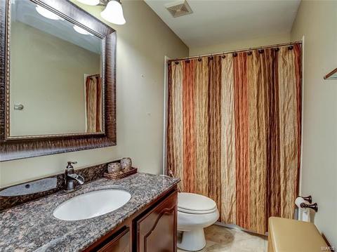379 Arbor Gln, Ballwin, MO 63021 photo 40