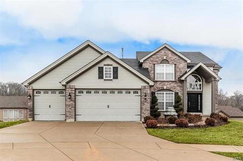 3 Oreal Ct, Arnold, MO 63010 photo 1