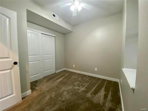 258 Sunset Villa Ln, O'fallon, MO 63366 photo 42