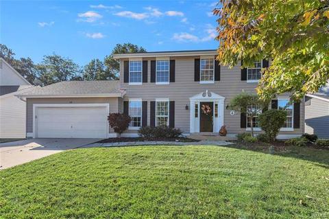 418 Leicester Square Dr, Ballwin, MO 63021 photo 1