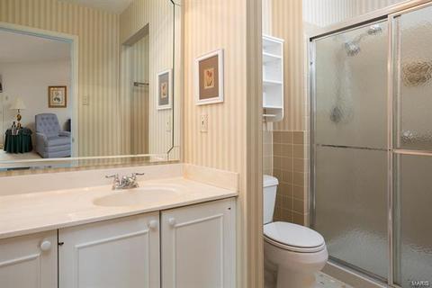 8 Leaside Ct, Manchester, MO 63011 photo 14