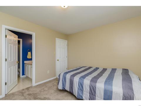1204 Red Orchard Ct, O'fallon, MO 63368 photo 33