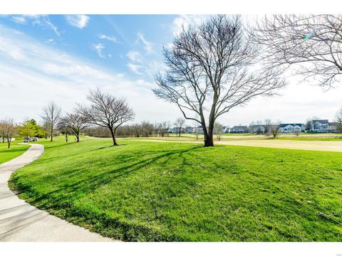 1204 Red Orchard Ct, O'fallon, MO 63368 photo 39