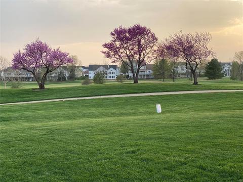 1204 Red Orchard Ct, O'fallon, MO 63368 photo 49