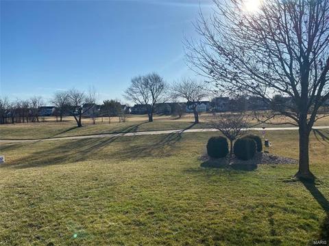 1204 Red Orchard Ct, O'fallon, MO 63368 photo 23