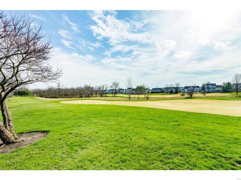 1204 Red Orchard Ct, O'fallon, MO 63368 photo 41