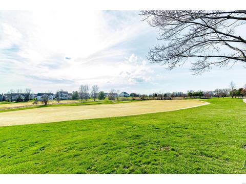 1204 Red Orchard Ct, O'fallon, MO 63368 photo 43
