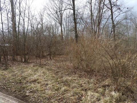1301 E Lakeshore Dr, Bismarck, MO 63624 photo 4