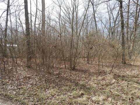 1301 E Lakeshore Dr, Bismarck, MO 63624 photo 3