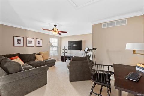 529 Copper Meadows Ln, O'fallon, MO 63368 photo 19