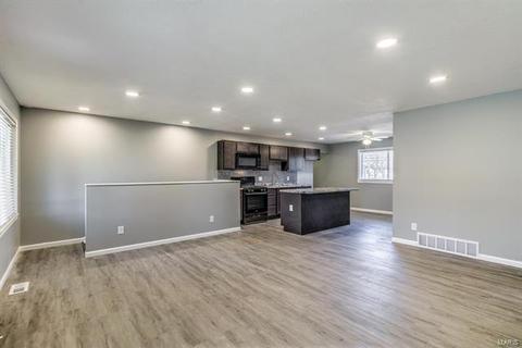 11028 Ebert Dr, Saint Louis, MO 63136 photo 9