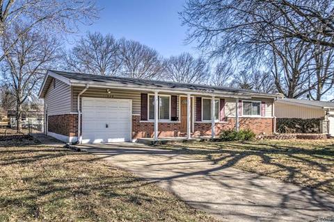 11028 Ebert Dr, Saint Louis, MO 63136 photo 1