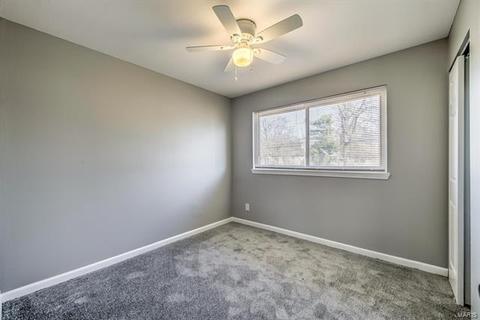 11028 Ebert Dr, Saint Louis, MO 63136 photo 21
