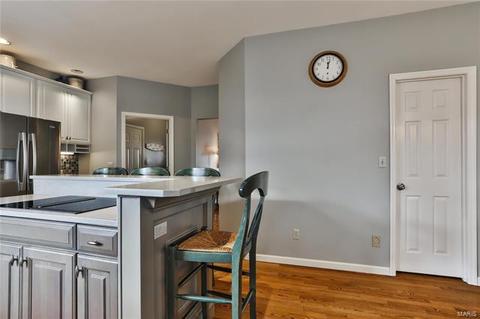 824 Dogwood Meadows Ct, Ellisville, MO 63021 photo 19