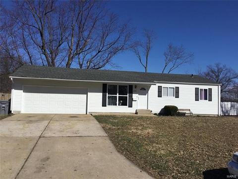 906 Love, O'fallon, MO 63366 photo 27