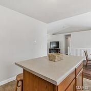 12 King Cir, O'fallon, MO 63366 photo 17