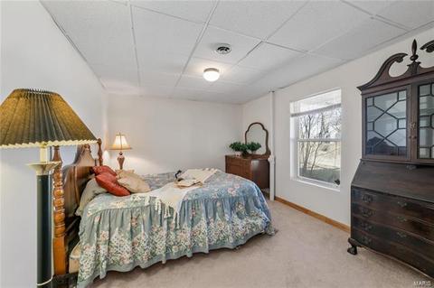 658 Arbor Hvn, Ballwin, MO 63021 photo 43