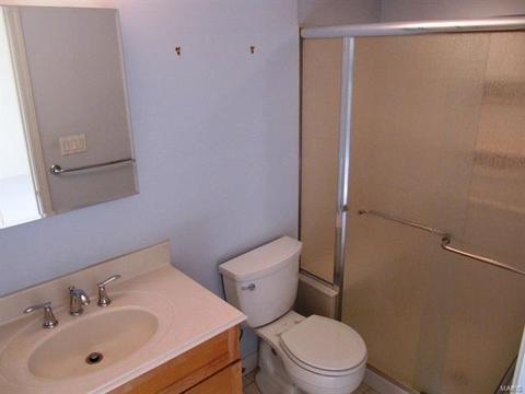 457 Hill Trl, Ballwin, MO 63011 photo 19