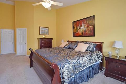 353 Brookhaven Dr, O'fallon, MO 63368 photo 25