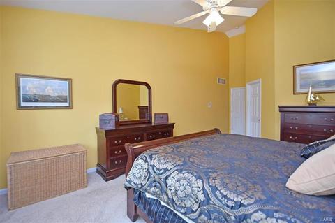 353 Brookhaven Dr, O'fallon, MO 63368 photo 26