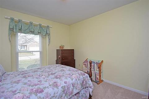 353 Brookhaven Dr, O'fallon, MO 63368 photo 32