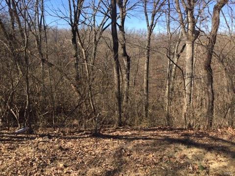 725 Castlecliff Rd, Ballwin, MO 63021 photo 1