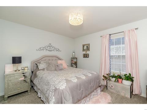 709 Ridgeside Dr #D, Ballwin, MO 63021 photo 10