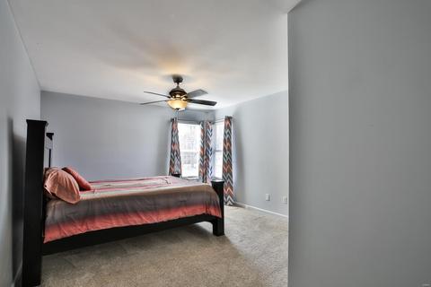 717 Diamond Pointe Ct, O'fallon, MO 63366 photo 21