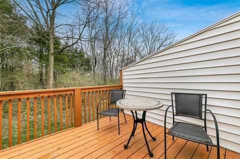 417 Summit Tree Ct, Fenton, MO 63026 photo 27