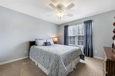 417 Summit Tree Ct, Fenton, MO 63026 photo 18