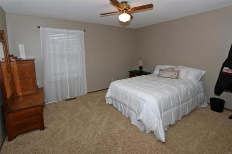 443 Tailor, O'fallon, MO 63368 photo 14