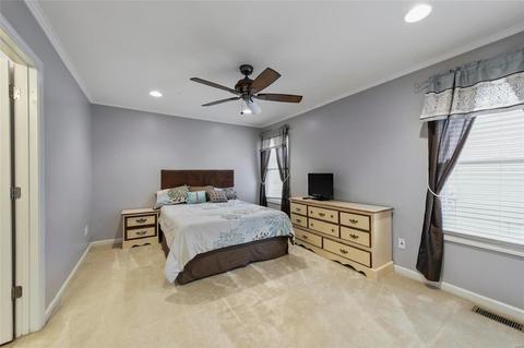 487 Chatham, O'fallon, MO 63366 photo 13
