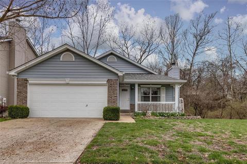 16448 Baja Ct, Wildwood, MO 63011 photo 1