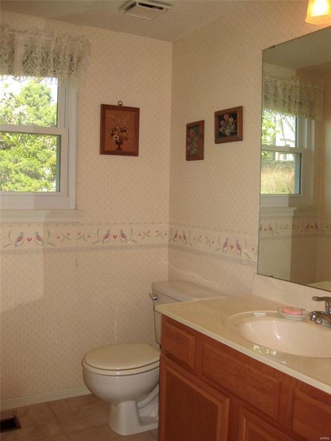 1015 Anna Mdws, Ballwin, MO 63021 photo 13