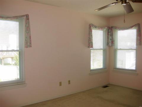 1015 Anna Mdws, Ballwin, MO 63021 photo 19