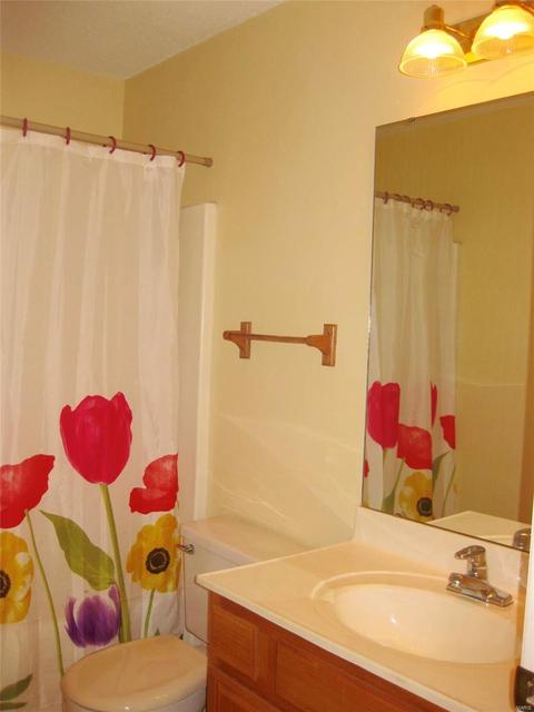 1015 Anna Mdws, Ballwin, MO 63021 photo 17