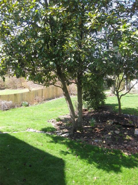 1015 Anna Mdws, Ballwin, MO 63021 photo 24