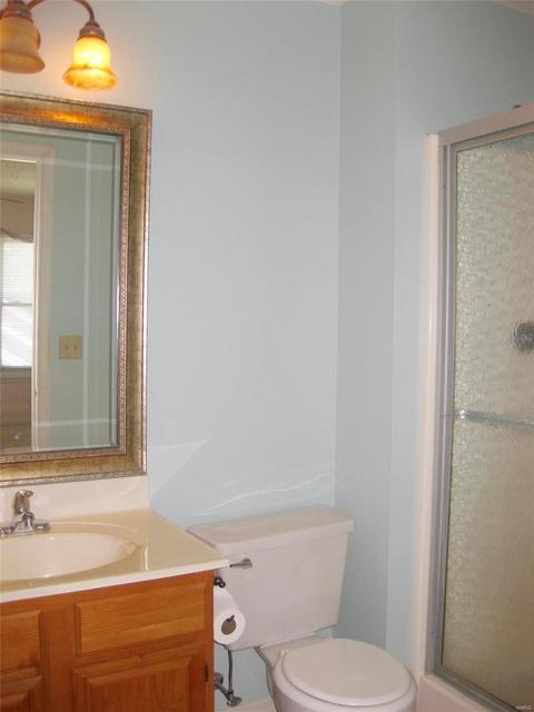 1015 Anna Mdws, Ballwin, MO 63021 photo 18