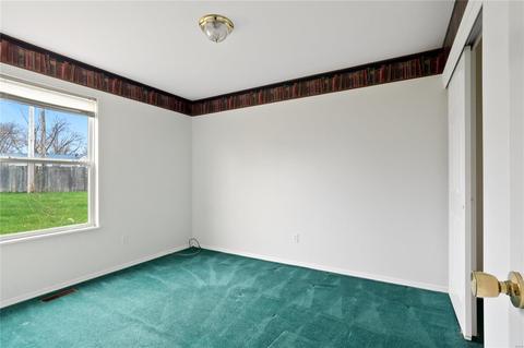 1005 Delmar Dr, O'fallon, MO 63366 photo 15