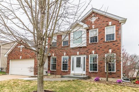 1151 Oak Borough Dr, Ballwin, MO 63021 photo 1