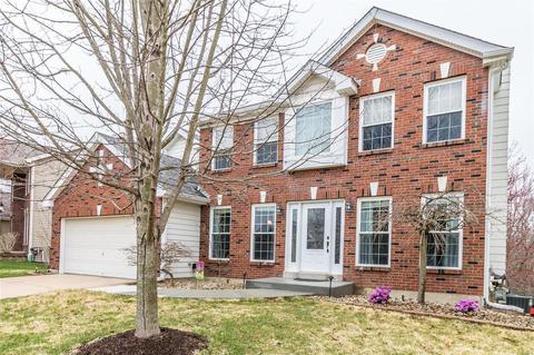 1151 Oak Borough Dr, Ballwin, MO 63021 photo 38