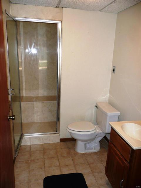 1409 Oakhall Manor Ct, Ballwin, MO 63021 photo 18