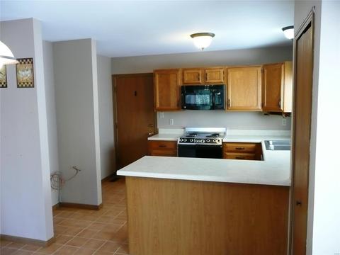 1409 Oakhall Manor Ct, Ballwin, MO 63021 photo 7