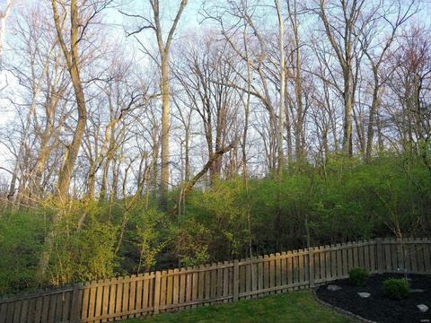 1505 Berry Leaf, Ballwin, MO 63021 photo 38