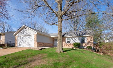 1145 Derbyshire, Manchester, MO 63021 photo 58