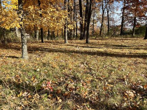 7050 Christopher Dr, Saint Louis, MO 63129 photo 8